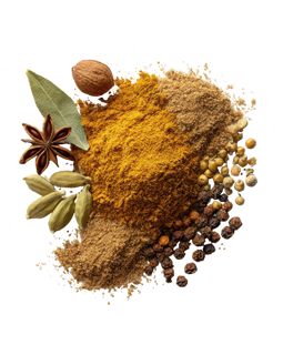 Choice Organic Spice Rooibos